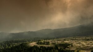 Analyzing the Latest Wildfire Outbreaks Across the Globe