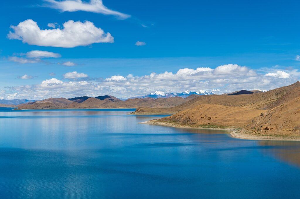 reminders of him colleen hoover characters