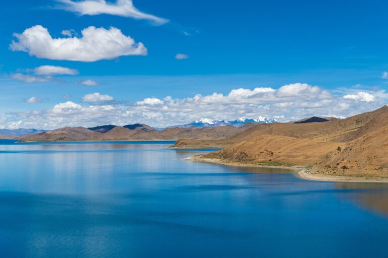 reminders of him colleen hoover characters