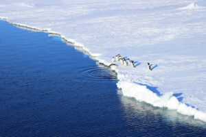 Understanding the Economic Impacts of Climate Migration