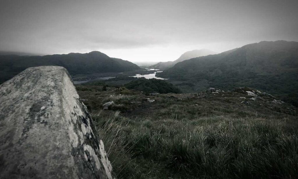 departure time fight sd1555958a