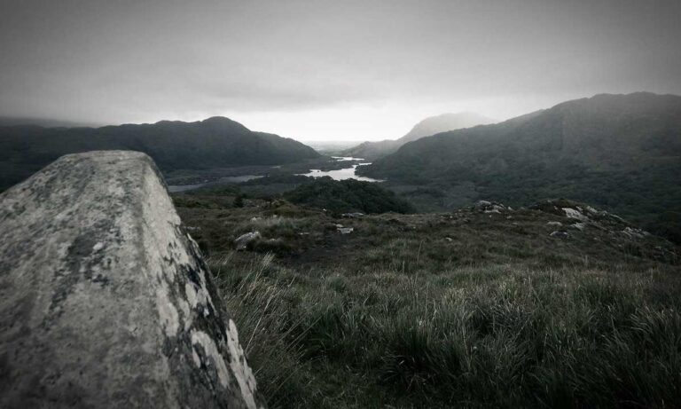 departure time fight sd1555958a