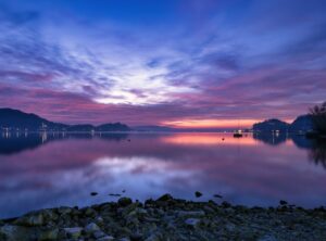 attractive eye catching nature dp for whatsapp