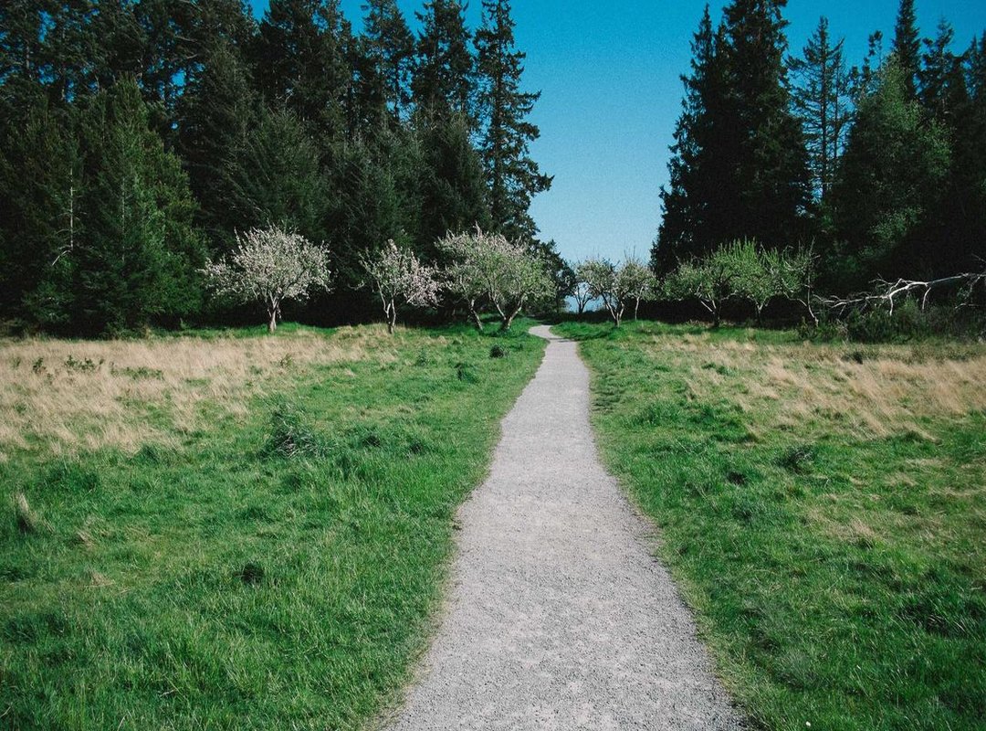 Frequently Asked Questions (FAQs)