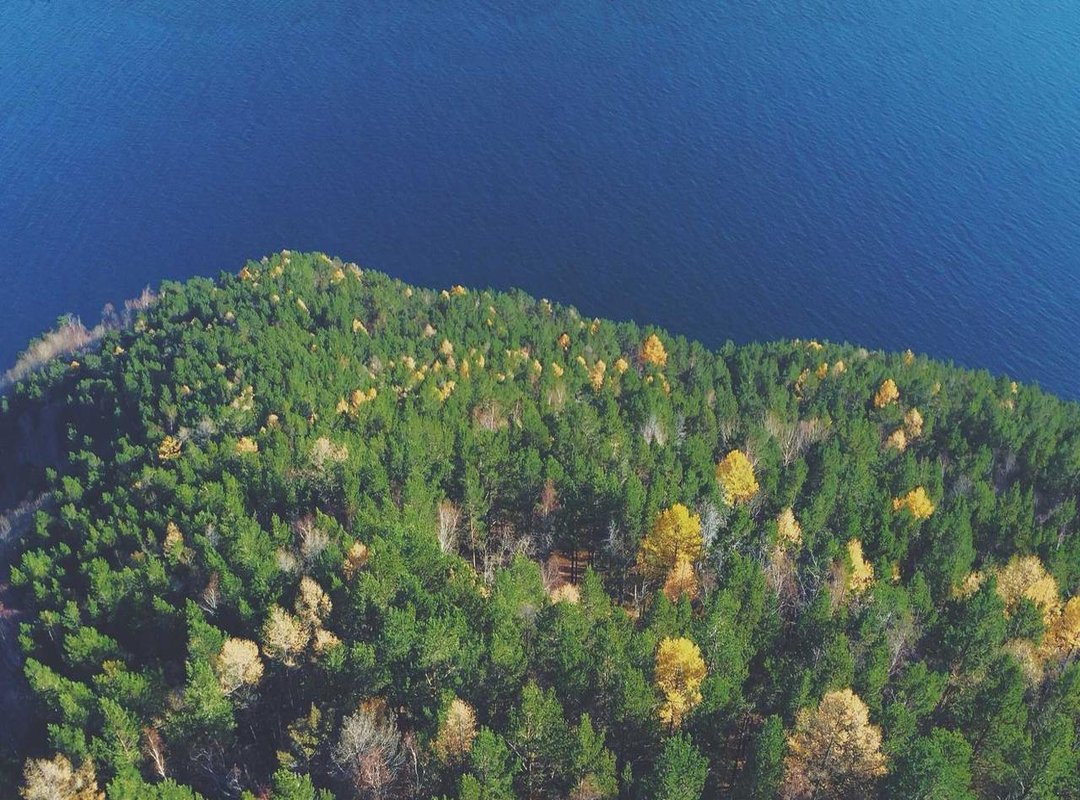 Putting 171cm in Perspective: How Tall Is It Really?