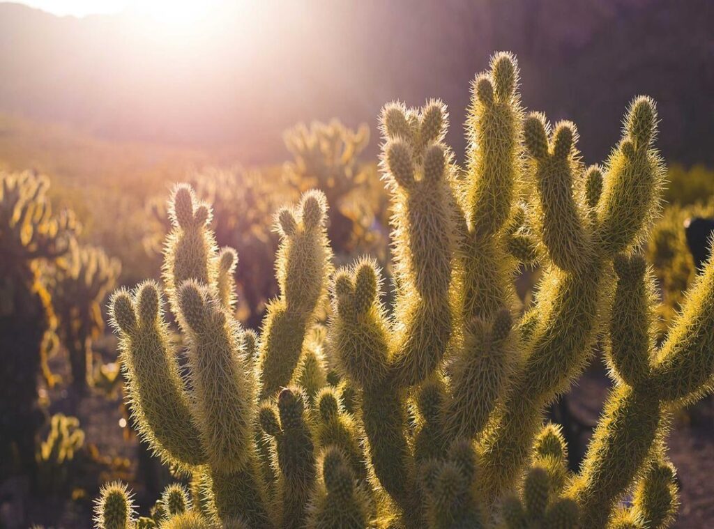 al nassr - inter miami tijdlijn