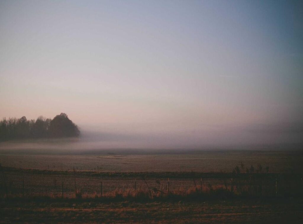 coin master free spin levvvel