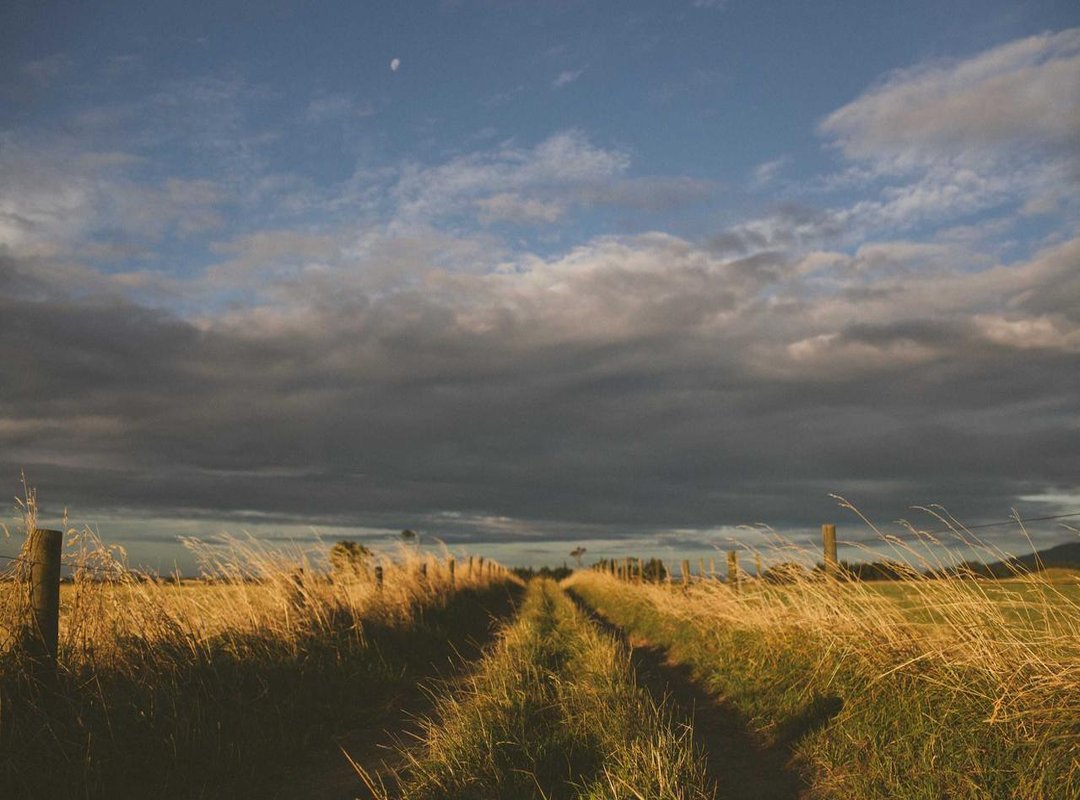 Music and Soundtrack