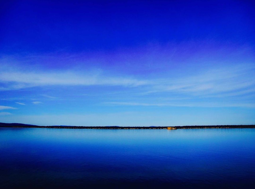 Beyond Manual Counting: The Best Tools for Tracking Dates