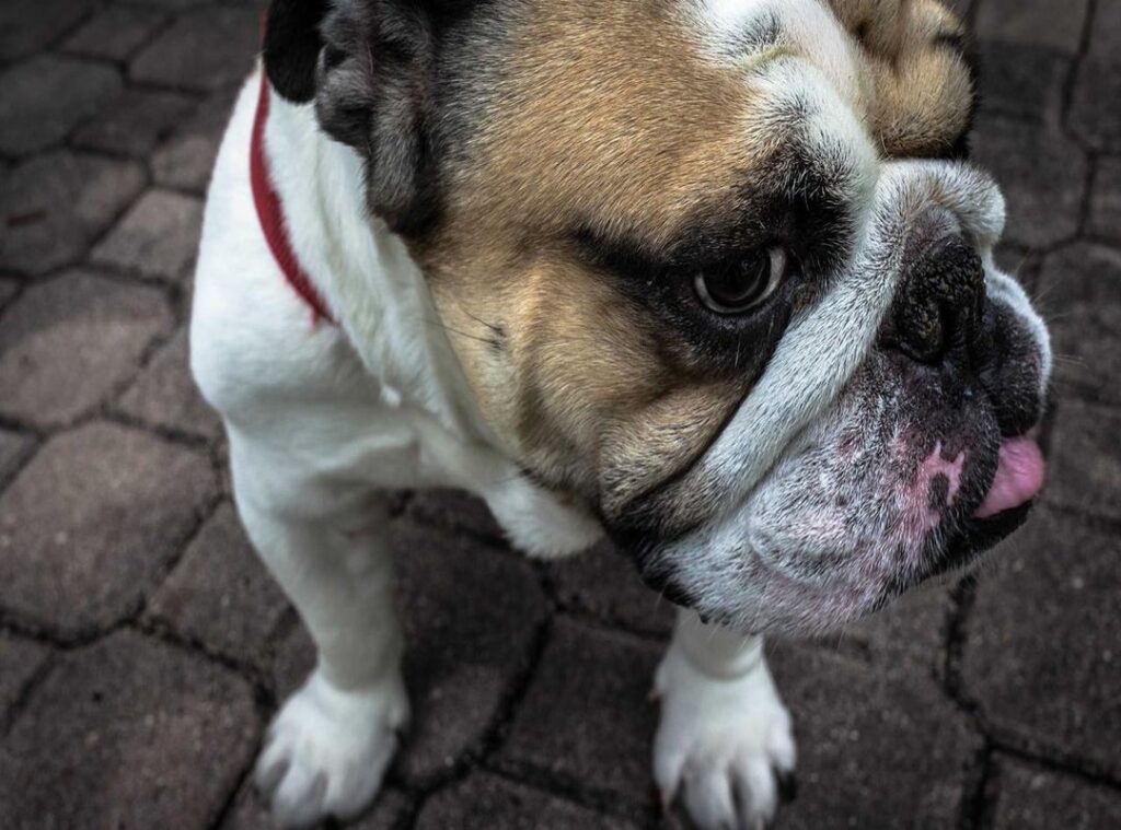 lucie hubert arthur kortenoever