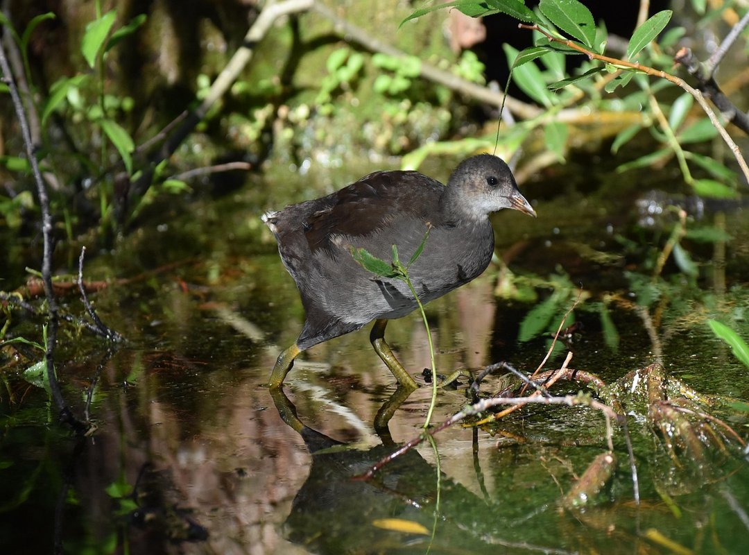 Notable Works and Where to Find Them