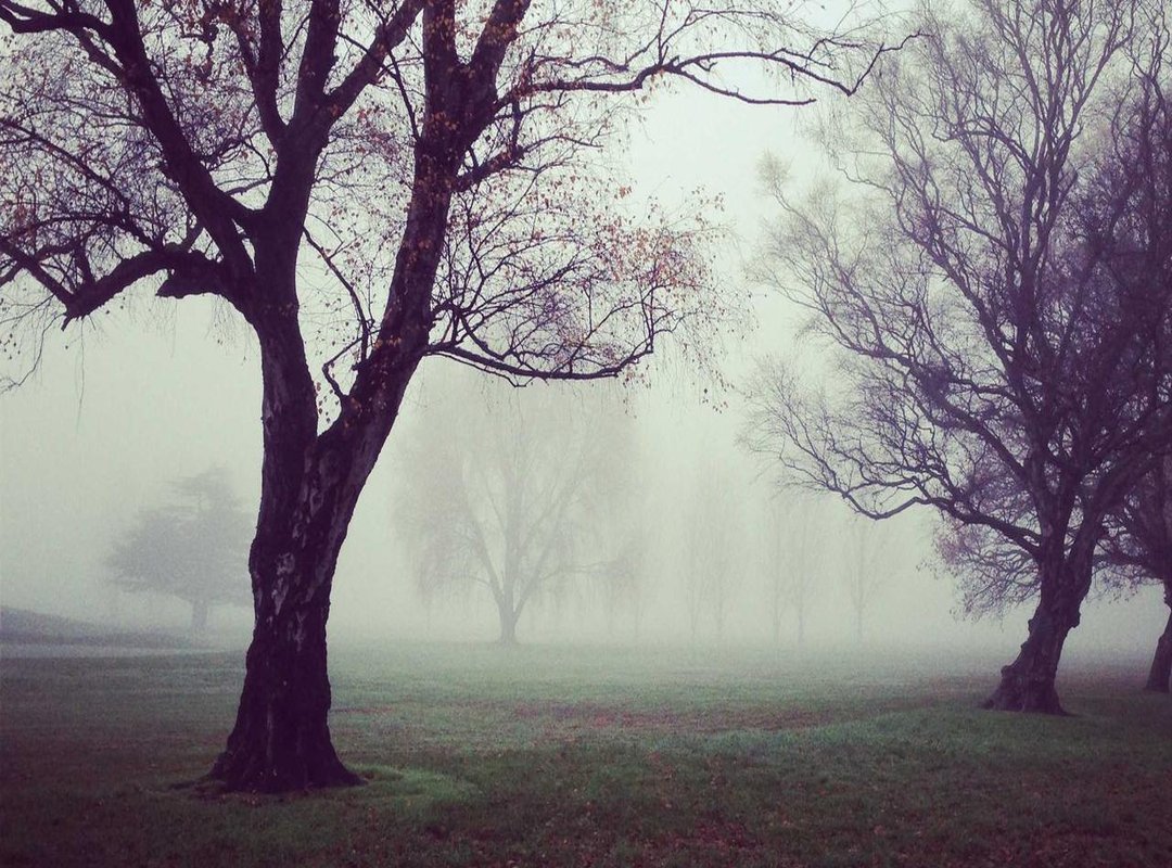 Finding Your First Manga: Understanding Key Demographics