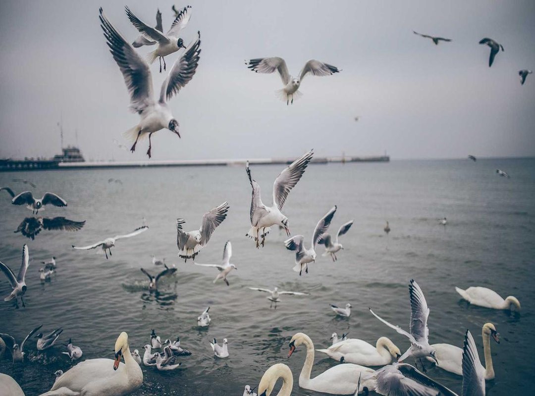 Nutrition and Recovery: Fueling Muscle Growth