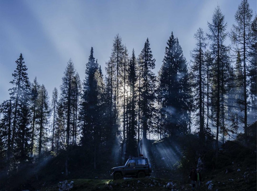 Decoding the Deeper Meaning: Themes of Loss and Hope