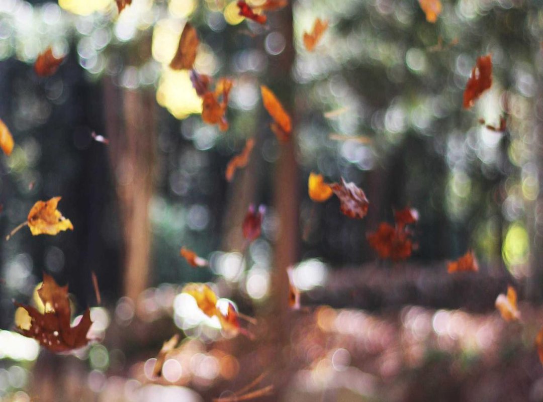 How to Use 'Yowes Lah' in Real Conversations: Practical Examples