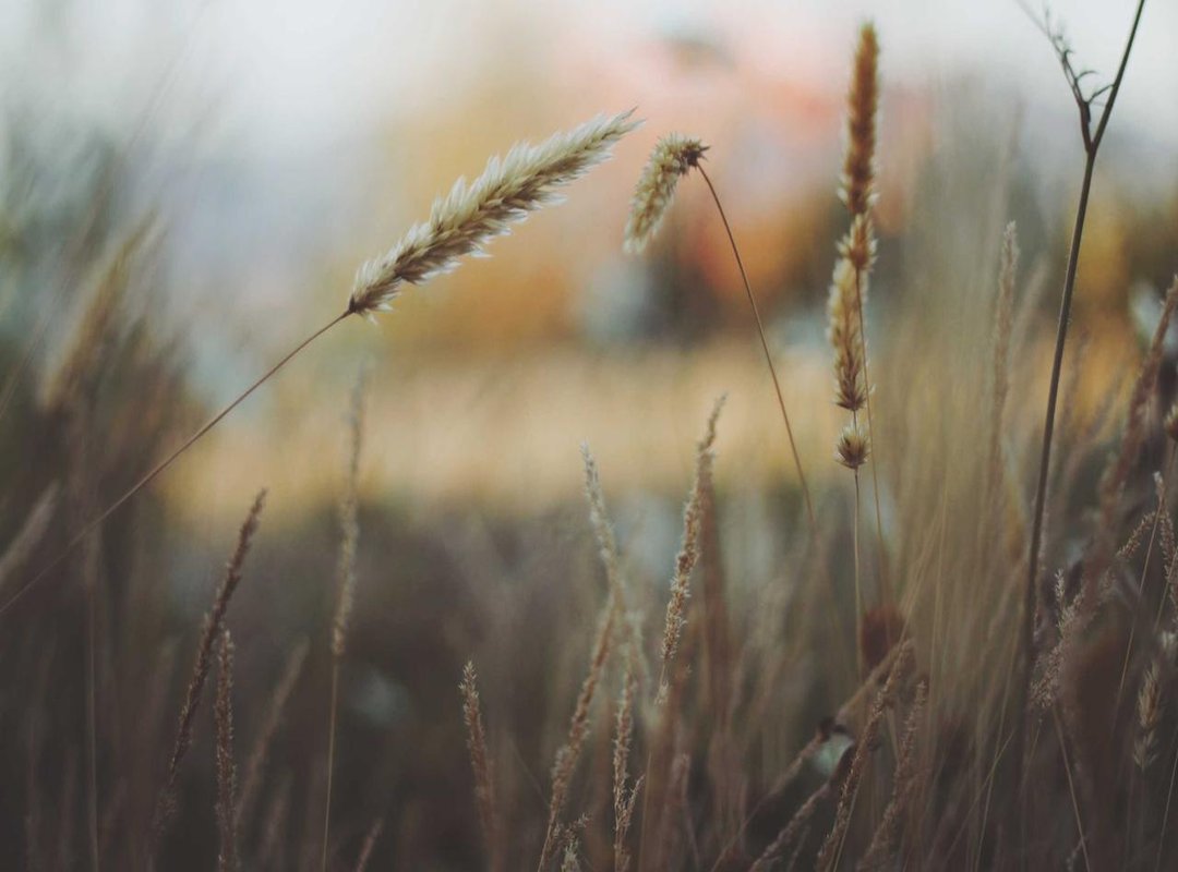 How to Install Yoya World Using Playmods: A Step-by-Step Guide