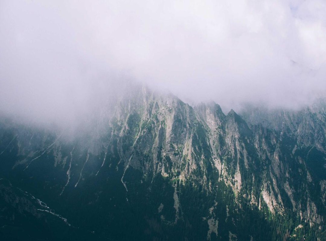 Breaking Down the Meaning: What is 'Zhurek' Really About?